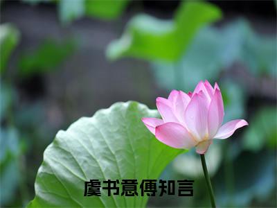虞书意傅知言（虞书意傅知言）无弹窗小说免费阅读_虞书意傅知言最新章节免费阅读_笔趣阁