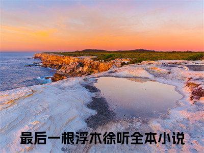 最后一根浮木徐听小说(最后一根浮木徐听)全文免费阅读_最后一根浮木徐听（最后一根浮木徐听）最新章节完整版免费阅读（最后一根浮木徐听）