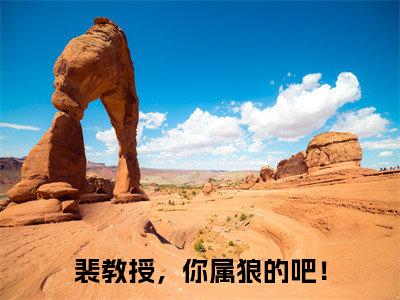 裴教授，你属狼的吧！（裴宴清苏晚宁）全文免费阅读无弹窗大结局_裴教授，你属狼的吧！最新章节列表_笔趣阁