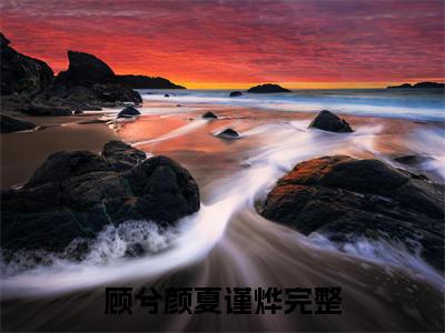 顾兮颜夏谨烨最新章节阅读-顾兮颜夏谨烨免费阅读大结局无弹窗