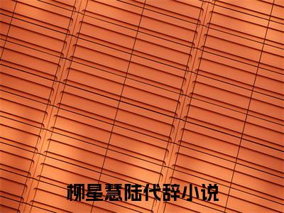 柳星慧陆代辞（柳星慧陆代辞小说）全文免费阅读无弹窗大结局_(柳星慧陆代辞小说免费阅读全文大结局)最新章节列表_笔趣阁（柳星慧陆代辞）