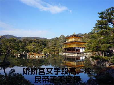 娇娇宫女手段高，冷戾帝王不经撩宣凛妧卿无广告阅读新上热文宣凛妧卿在线免费读