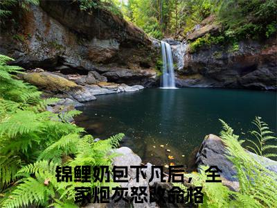 锦鲤奶包下凡后，全家炮灰怒改命格（云淼）全文免费阅读-锦鲤奶包下凡后，全家炮灰怒改命格（云淼）全章节完整版在线阅读