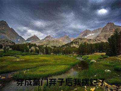 邬尘文晏礼（穿成豪门弃子后我摆烂了）小说免费阅读_邬尘文晏礼精选小说全文阅读（穿成豪门弃子后我摆烂了）
