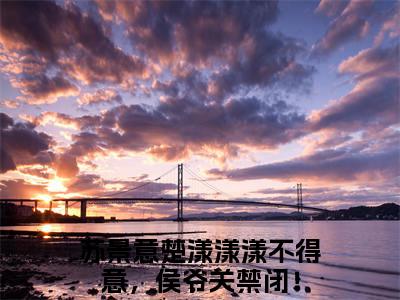 苏景意楚漾免费阅读（漾漾不得意，侯爷关禁闭！）完整版全文全章节阅读