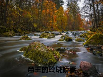 帝王的玲珑娇妻小说全文免费阅读_（帝王的玲珑娇妻）欧阳夜夜凌墨洵最新章节列表笔趣阁