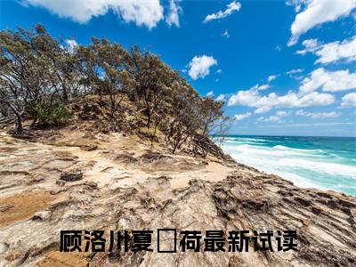 顾洛川夏萩荷小说（顾洛川夏萩荷）全文免费阅读无弹窗大结局_顾洛川夏萩荷小说最新章节列表_笔趣阁（顾洛川夏萩荷）