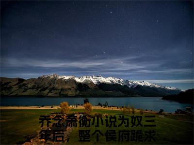 乔念萧衡（为奴三年后，整个侯府跪求我原谅）全文免费读无弹窗大结局_为奴三年后，整个侯府跪求我原谅免费小说乔念萧衡读无弹窗最新章节列表