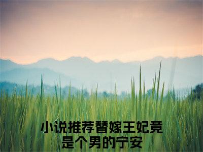 替嫁王妃竟是个男的宁安免费阅读（替嫁王妃竟是个男的宁安）完整版全文全章节阅读