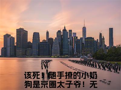 该死！随手撩的小奶狗是京圈太子爷！小说在线阅读厉承胤傅阮无广告小说免费在线阅读（免费）+（结局）