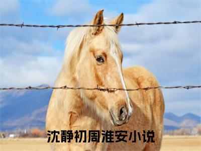 沈静初周淮安宝藏小说推荐沈静初周淮安-沈静初周淮安完整免费阅读小说