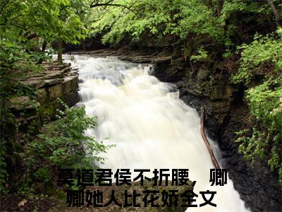 魏骧孟弗（莫道君侯不折腰，卿卿她人比花娇）全文免费阅读无弹窗_莫道君侯不折腰，卿卿她人比花娇最新小说_笔趣阁