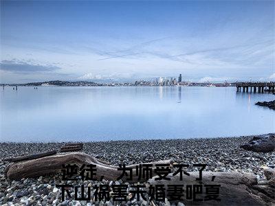 逆徒，为师受不了，下山祸害未婚妻吧夏云帆「精彩小说」无弹窗阅读 逆徒，为师受不了，下山祸害未婚妻吧夏云帆大结局阅读