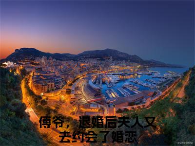 沈思傅司年（傅爷，退婚后夫人又去约会了）小说全文免费阅读无弹窗-沈思傅司年全章节在线阅读