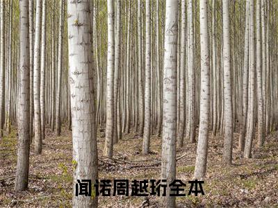 闻诺周越珩小说无广告免费阅读无删减