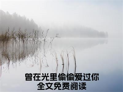 曾在光里偷偷爱过你（孟淮序姜晚意）全文阅读无弹窗大结局_曾在光里偷偷爱过你免费阅读无弹窗最新章节列表