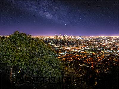 飞鸟越不过山海全文免费阅读顾洛鸢季淮之章节免费阅读