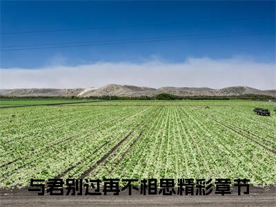 （热推新书）《陆砚初苏沁然》全文免费阅读最新章节大结局-与君别过再不相思无弹窗阅读