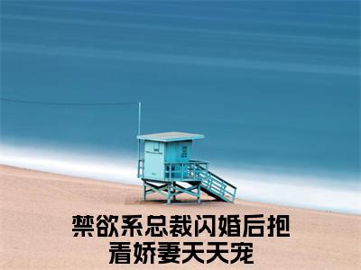 禁欲系总裁闪婚后抱着娇妻天天宠全文免费（林若瑶沈云晟）全集小说完整版大结局-禁欲系总裁闪婚后抱着娇妻天天宠全文阅读无弹窗