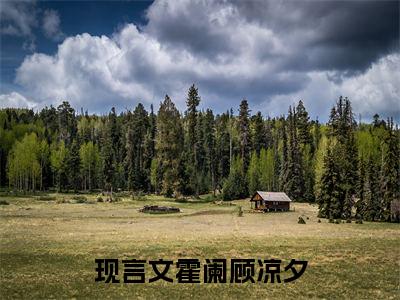主角叫霍阑顾凉夕的小说在哪阅读霍阑顾凉夕是什么小说