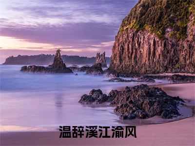 温辞溪江渝风小说免费阅读-温辞溪江渝风最新章节小说阅读-笔趣阁