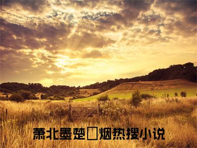 萧北墨楚璟烟（萧北墨楚璟烟）小说全文免费阅读无弹窗大结局_（萧北墨楚璟烟）萧北墨楚璟烟最新章节列表笔趣阁（萧北墨楚璟烟）