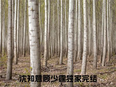 沈知意顾少霆(沈知意顾少霆)全文免费阅读无弹窗大结局_沈知意顾少霆(沈知意顾少霆小说全文无弹窗)完整版最新阅读（沈知意顾少霆）