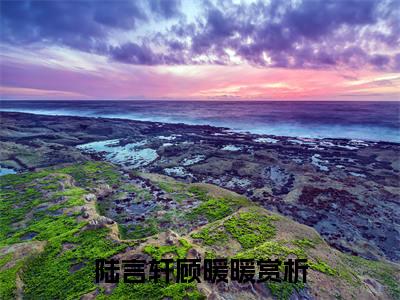 陆言轩顾暖暖小说（陆言轩顾暖暖）全文免费阅读-陆言轩顾暖暖全文阅读无弹窗