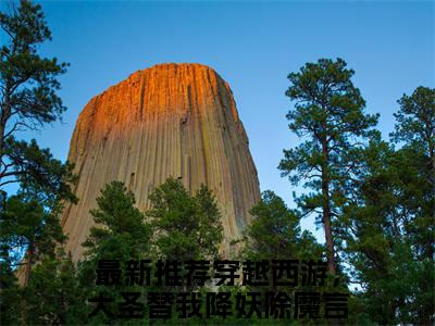 穿越西游，大圣替我降妖除魔言卿(穿越西游，大圣替我降妖除魔言卿)全文免费穿越西游，大圣替我降妖除魔言卿读无弹窗大结局_ 穿越西游，大圣替我降妖除魔言卿无弹窗最新章节列表_笔趣阁
