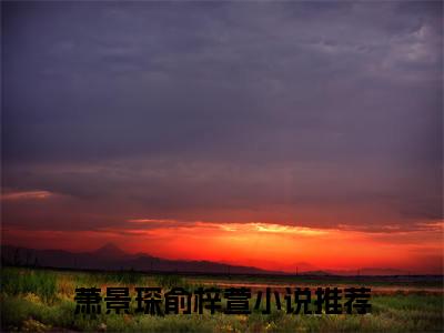萧景琛俞梓萱小说（萧景琛俞梓萱）最新章节阅读-最新热点小说萧景琛俞梓萱