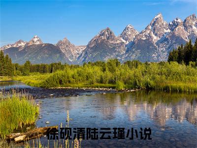 徐砚清陆云瑾小说全文免费阅读无弹窗-徐砚清陆云瑾全章节阅读