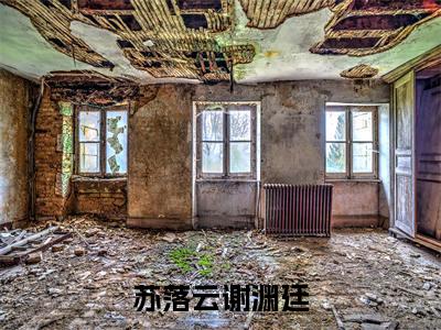 苏落云谢渊廷小说大结局免费阅读-（苏落云谢渊廷）抖音新上热文分享苏落云谢渊廷