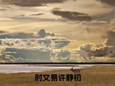 时文易许静初小说免费阅读-精选时文易许静初小说大结局阅读