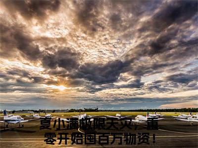 极限天灾，重零开始囤百万物资！小说（夏小满）全文免费阅读无弹窗_极限天灾，重零开始囤百万物资！高赞小说免费阅读笔趣阁（夏小满）