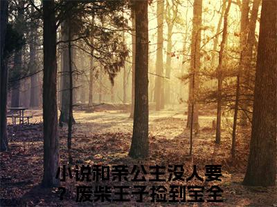 和亲公主没人要？废柴王子捡到宝（夏凌烟）全文免费阅读无弹窗大结局_（夏凌烟）免费阅读无弹窗最新章节列表