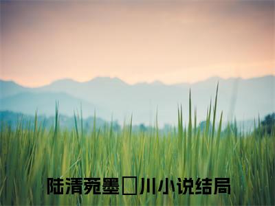 (陆清菀墨璟川)小说免费阅读无弹窗_（陆清菀墨璟川免费阅读）陆清菀墨璟川小说最新章节列表_笔趣阁（陆清菀墨璟川下载）