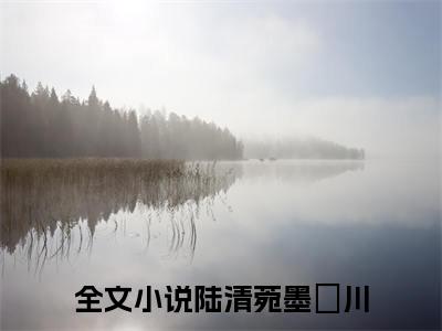 陆清菀墨璟川全本小说（陆清菀墨璟川）全文免费阅读无弹窗大结局_陆清菀墨璟川全本小说最新章节列表_笔趣阁（陆清菀墨璟川）