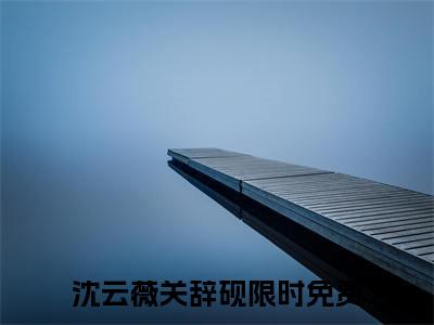 沈云薇关辞砚全文赏析完整版阅读-沈云薇关辞砚小说最新章节免费阅读