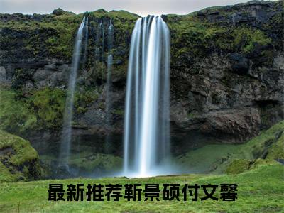 靳景硕付文馨全文免费阅读大结局-靳景硕付文馨小说最新章节阅读