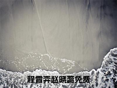 程霄弈赵晓蕊小说 程霄弈赵晓蕊免费章节阅读