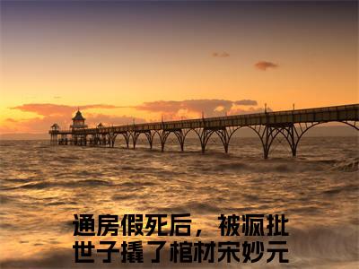 通房假死后，被疯批世子撬了棺材宋妙元（通房假死后，被疯批世子撬了棺材宋妙元）全文免费阅读无弹窗大结局通房假死后，被疯批世子撬了棺材宋妙元