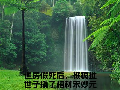 通房假死后，被疯批世子撬了棺材宋妙元（通房假死后，被疯批世子撬了棺材宋妙元）全文免费阅读无弹窗_通房假死后，被疯批世子撬了棺材宋妙元全文免费阅读最新章节大结局_笔趣阁