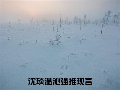 昨夜星辰昨夜风小说（沈琰温沁）全文免费阅读无弹窗大结局_昨夜星辰昨夜风最新章节列表_笔趣阁