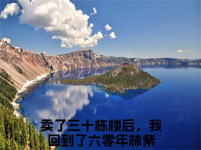 卖了三十栋楼后，我回到了六零年林紫免费阅读无弹窗 卖了三十栋楼后，我回到了六零年林紫最新章节
