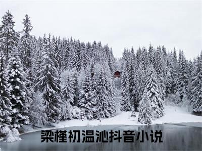 主角是梁槿初温沁的小说叫什么名字 梁槿初温沁小说免费阅读