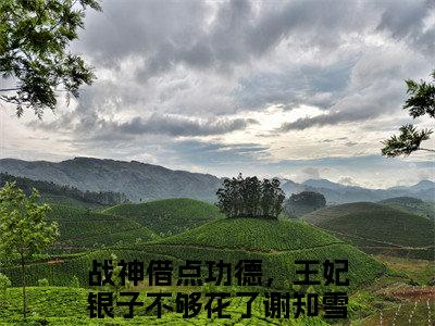 （战神借点功德，王妃银子不够花了谢知雪）小短篇小说免费阅读-强推战神借点功德，王妃银子不够花了谢知雪主角的小说