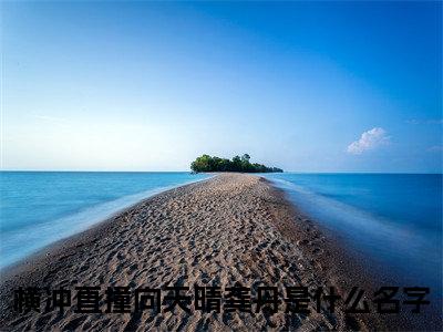 横冲直撞向天晴龚丹全文免费阅读无弹窗大结局_（横冲直撞向天晴龚丹阅读无弹窗）横冲直撞向天晴龚丹最新章节列表_笔趣阁