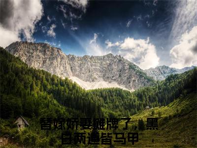 替嫁娇妻摊牌了，黑白两道皆马甲（秦焱陆雪漫）完整全文在线阅读_秦焱陆雪漫小说全章节目录阅读（替嫁娇妻摊牌了，黑白两道皆马甲）