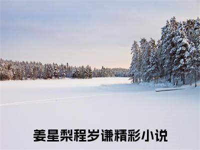精选好书姜星梨程岁谦全文免费阅读大结局_姜星梨程岁谦（姜星梨程岁谦）完整版在线赏析