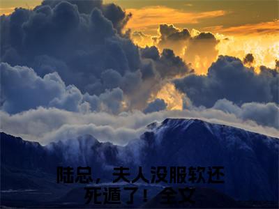 陆铮沈沐漓小说讲的是什么-陆总，夫人没服软还死遁了！精彩章节目录观看